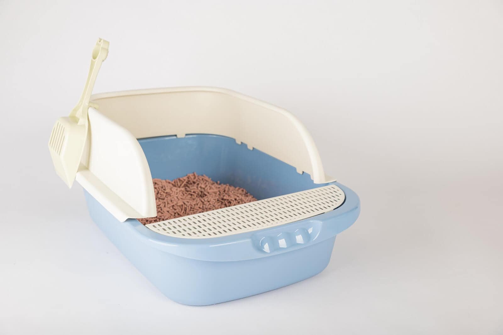 8 Best Fancy Cat Litter Box Tested & Reviewed 2024!