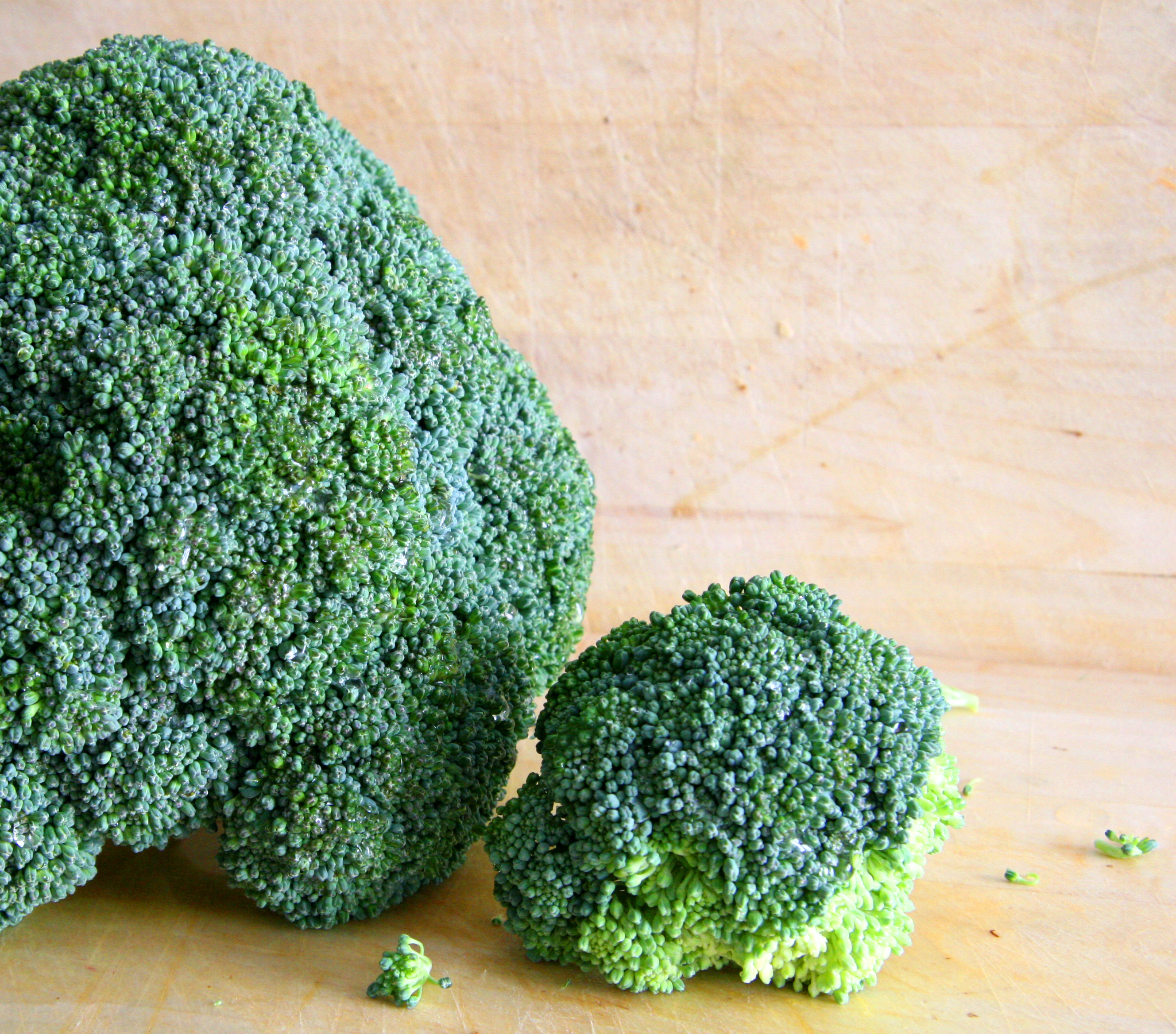 UPitt Researchers Study Broccoli for Cancer Prevention