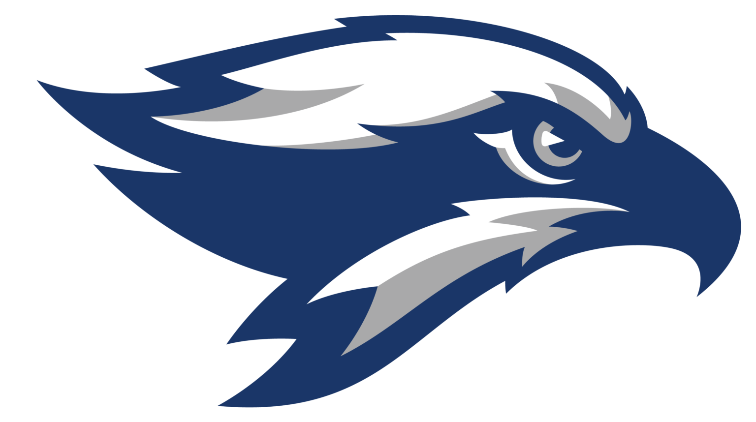 Broward College Baseball Camps Register Online Today!