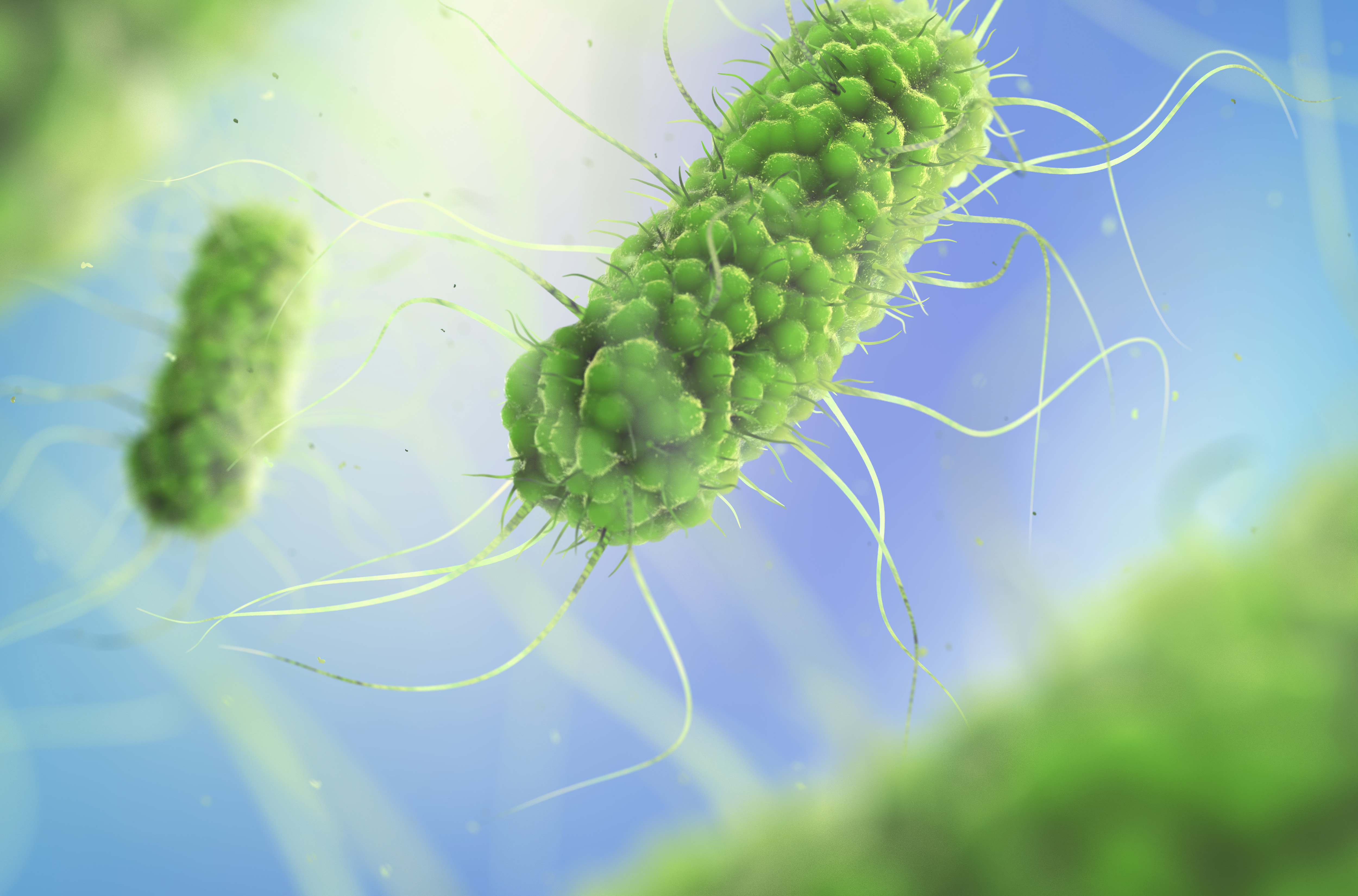 Advances in Diagnostic Testing for the Bacteria, Viruses, and Parasites