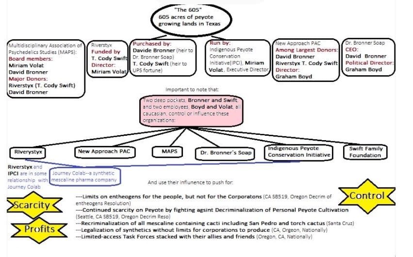 Image - Dr. Bronner's