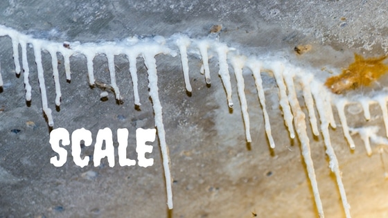 Scale Removal