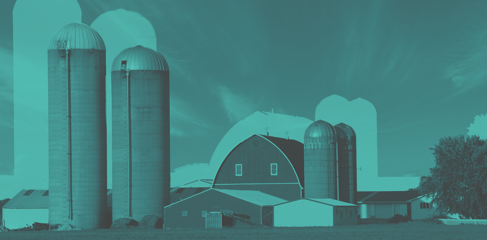 The Family Farm Strategies for Surviving and Thriving