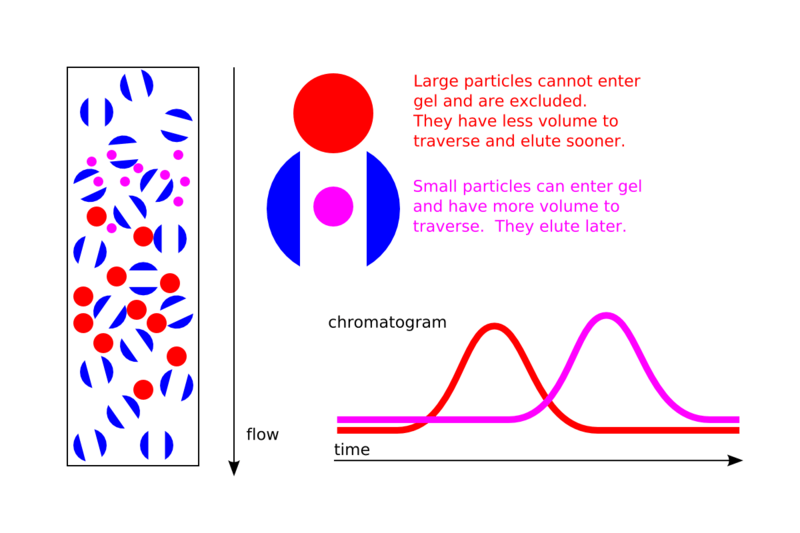 Gel Filtration and Its Role in Desalting and Buffer Exchange