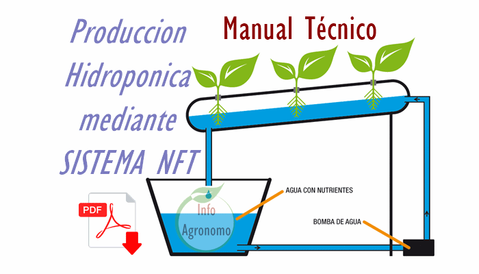 Hidroponía Nft Pdf NFT Bar Waterloo