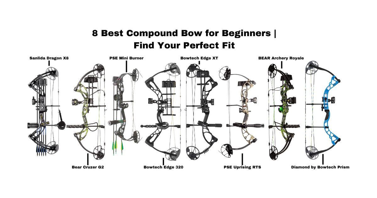Top 9 Best Compound Bow for Beginners (2023)