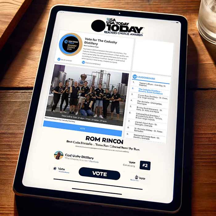 Rom Rincón Nears Top Spot in USA TODAY 10Best Readers' Choice Awards