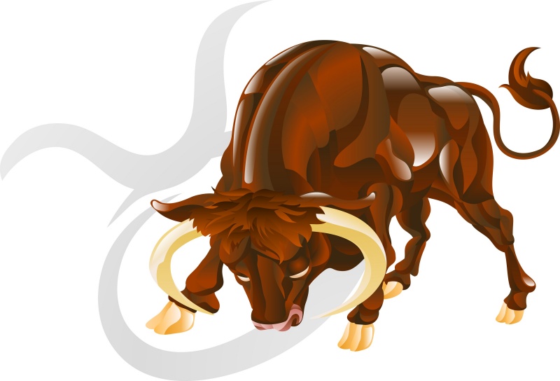 Het sterrenbeeld Stier infobron.nl