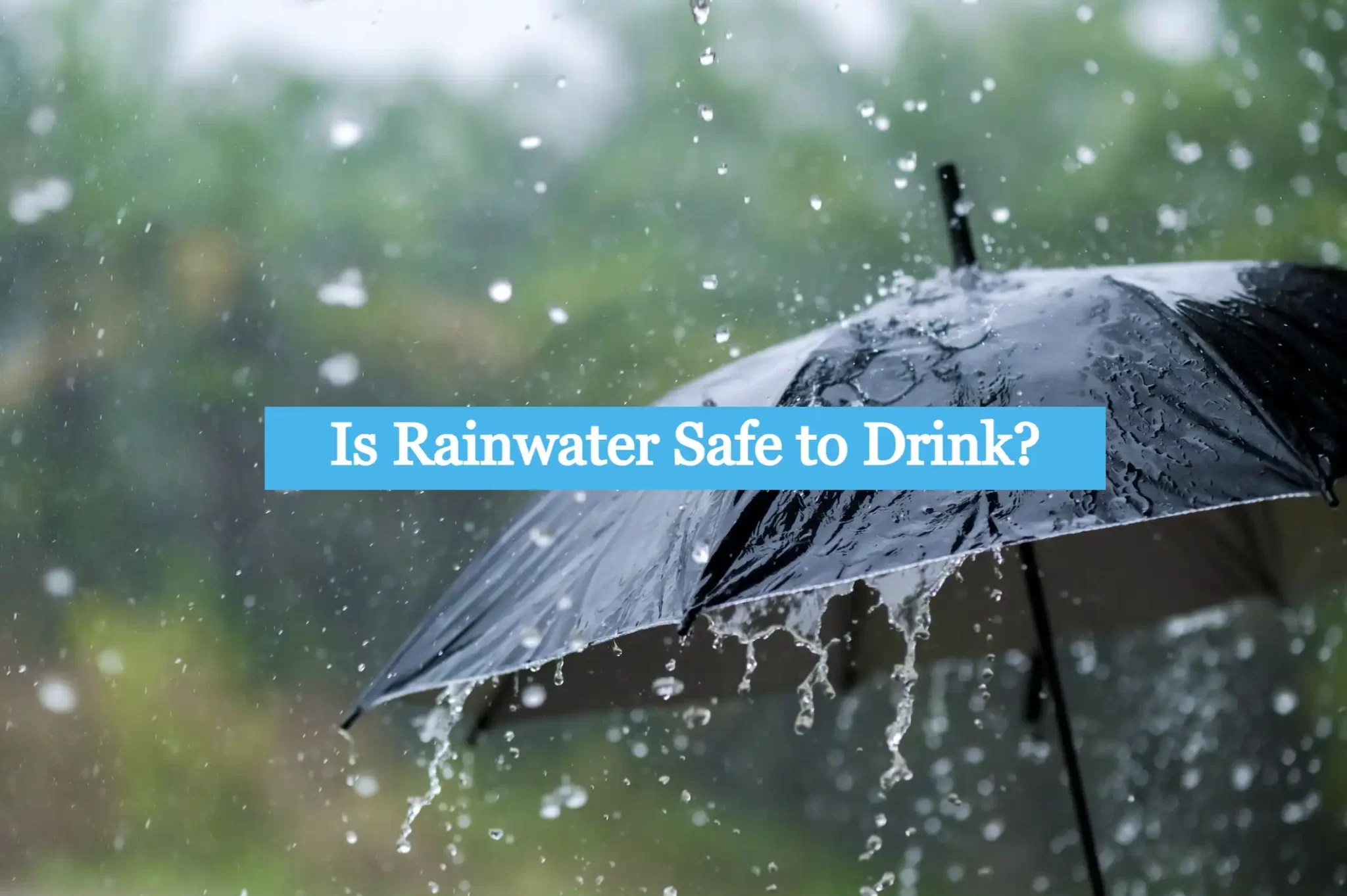 Is Rainwater Safe to Drink? Info Captain