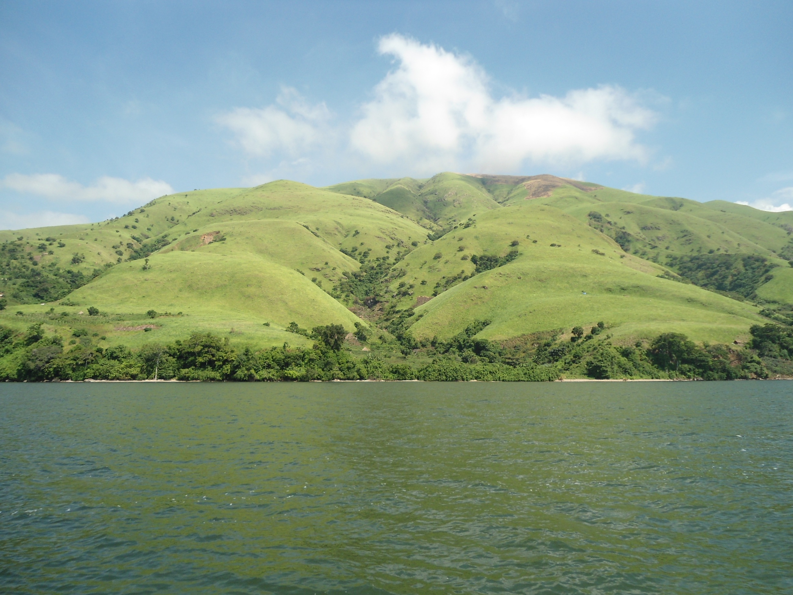 Pêche Les étangs piscicoles remplacent le lac Edouard menacé InfoCongo