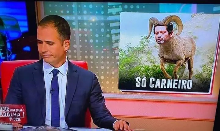 Ricardo Araujo Pereira Coloca Andre Ventura Como Carneiro Infocul Pt