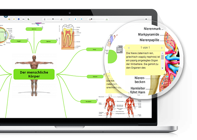 Wir haben den prozess so. Mindmaps - GoConqr