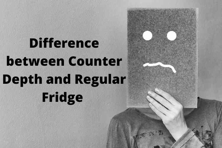 Difference between Counter Depth and Regular Fridge Info Dispatcher