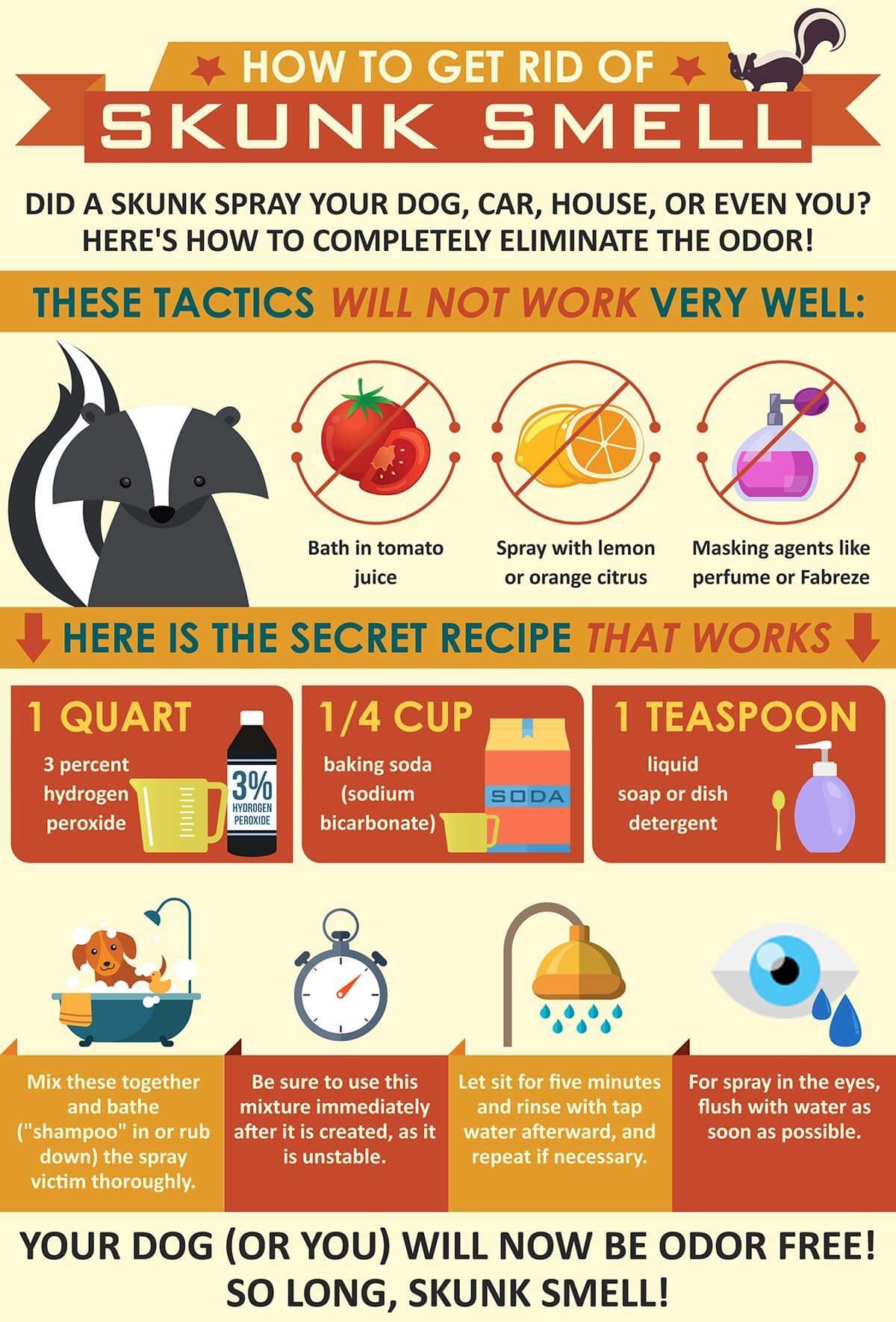 Visual How To Get Rid Of Skunk Smell Infographic.tv Number one