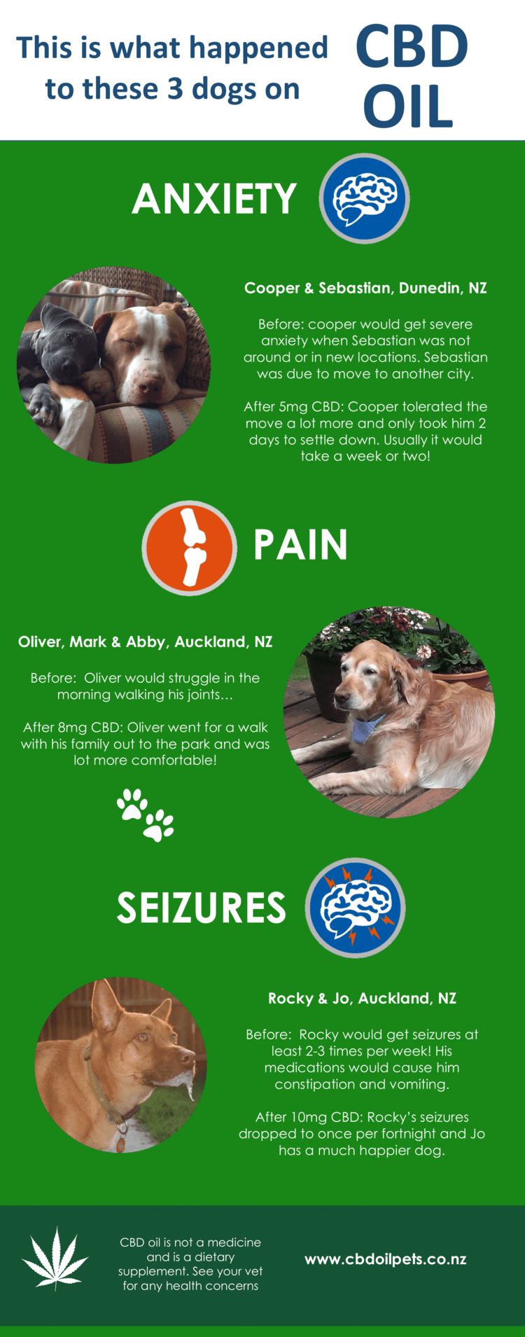 What CBD Oil Did For 3 Dogs [Infographic]