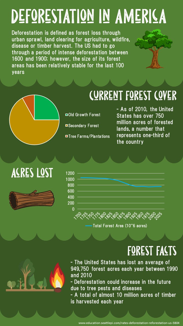 Deforestation Information