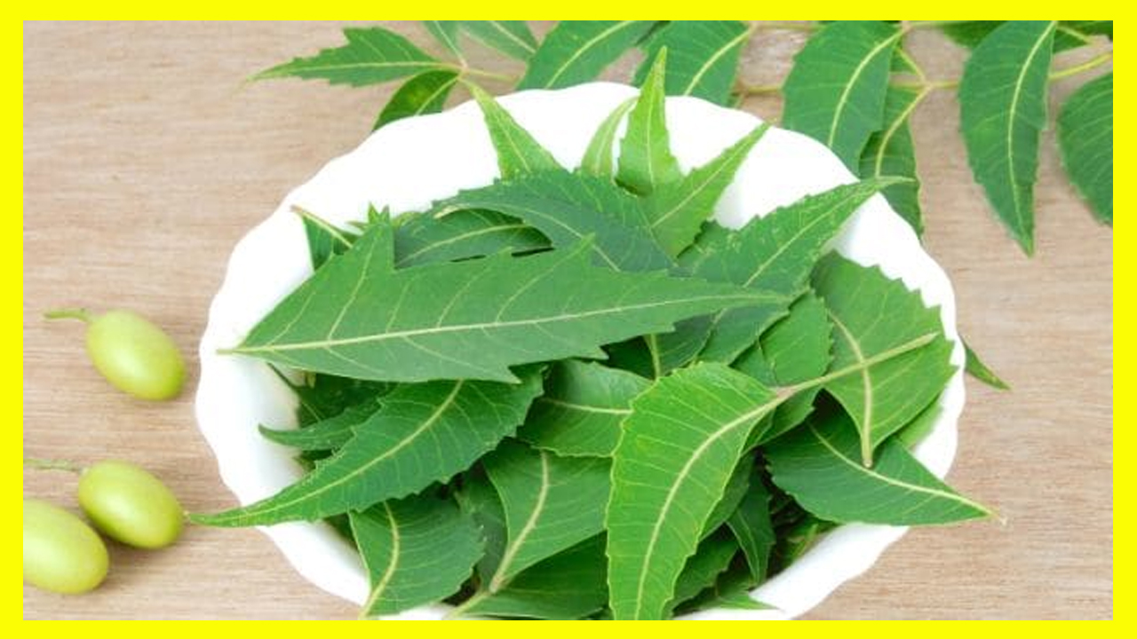 ಚರ್ಮರೋಗ ಸೇರಿದಂತೆ ಕೂದಲಿನ ನಾನಾ ಸಮಸ್ಯೆಗೆ ಬೇವಿನ ಎಲೆಯಲ್ಲಿದೆ ಹಳ್ಳಿ ಮದ್ದು