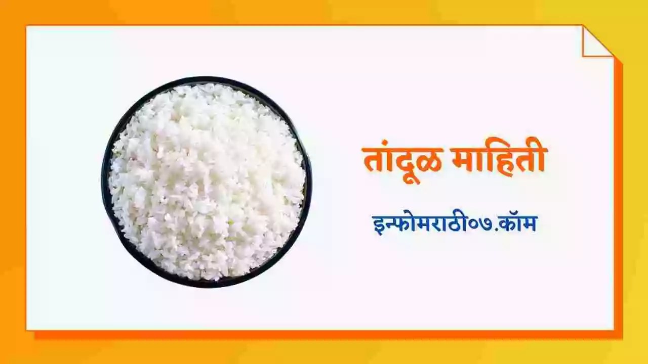 तांदूळ माहिती Rice Information in Marathi