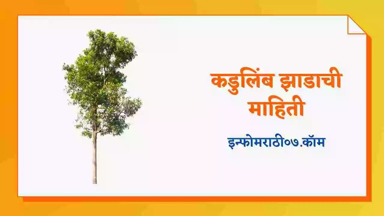 कडुलिंब झाडाची माहिती Neem Tree Information in Marathi