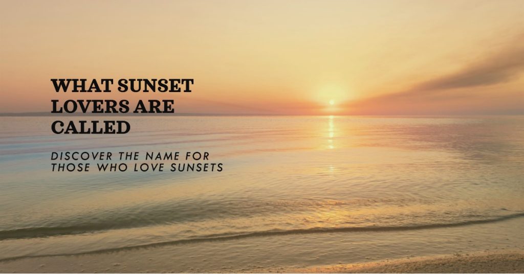 What Does Sunset Lover Called? Infomatly
