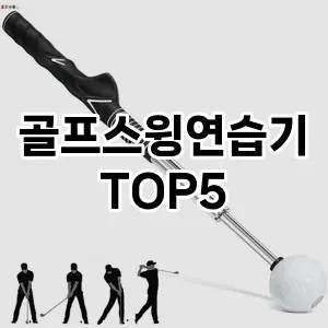 골프스윙연습기 추천 TOP5 가성비최고
