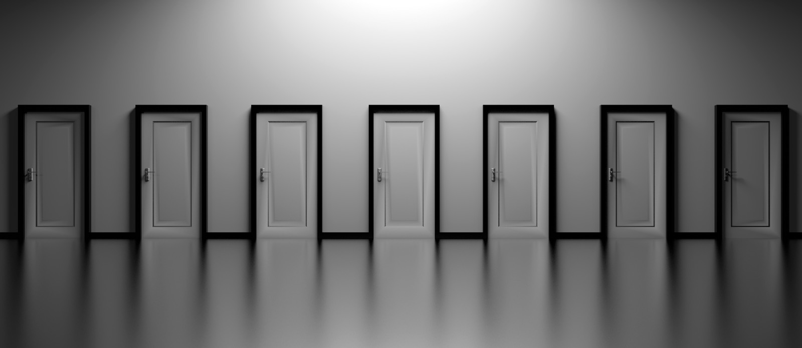 Presenting Multiple Design Options