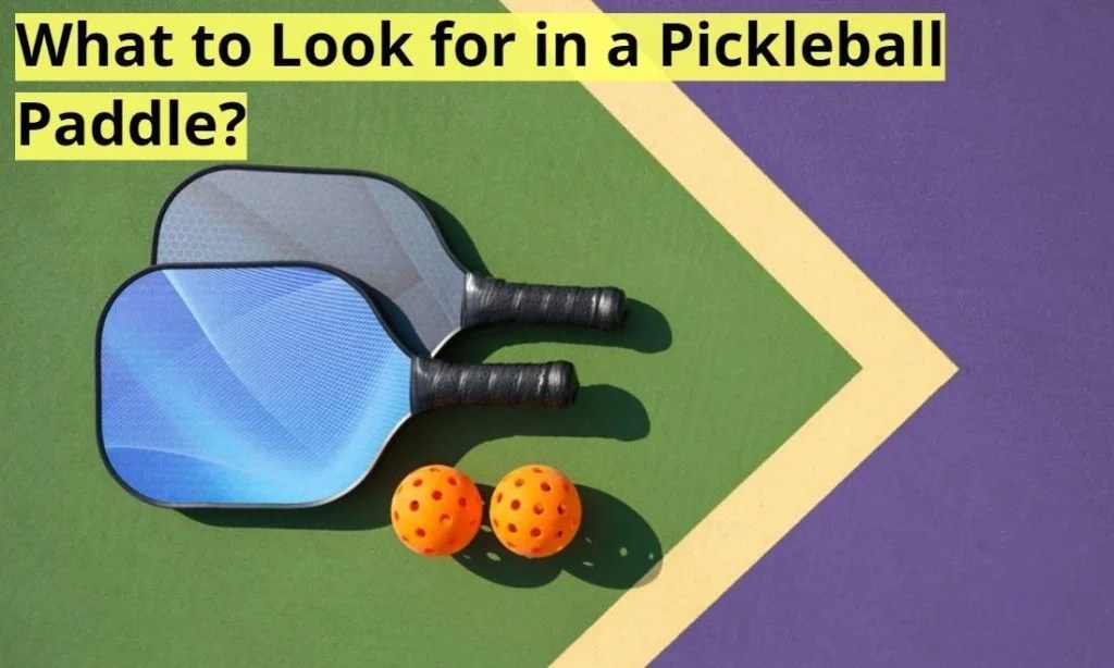 Best Pickleball Paddle Infopickleball