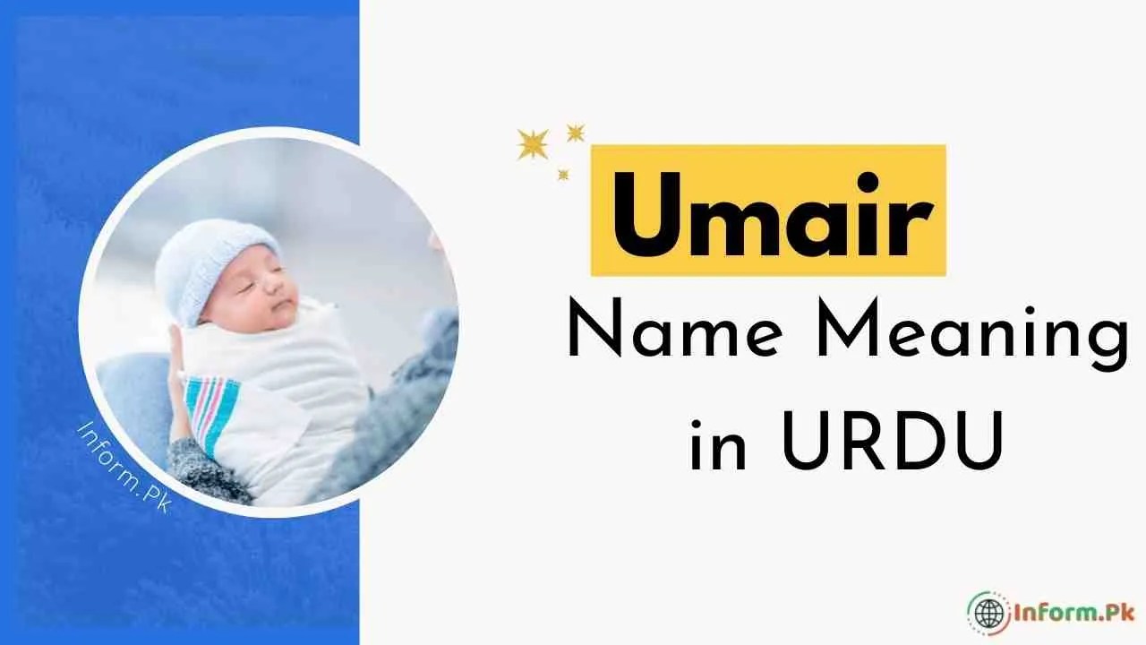 Umair Name Meaning In Urdu (عمیر) Lucky Day, Number, Stone