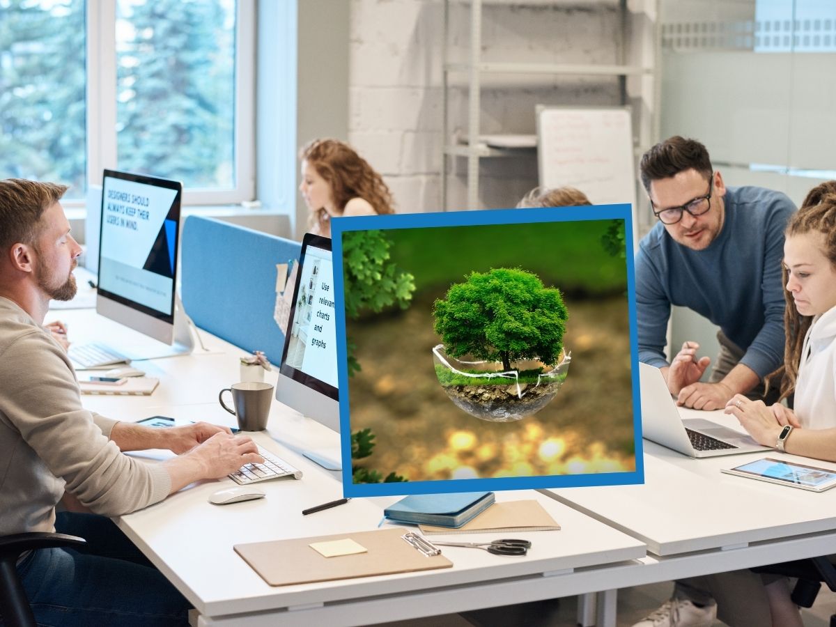 Green Jobs: Quali Sono Le Professioni Lavorative Del Futuro? 900_x_1200_jpg