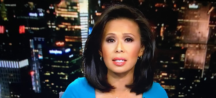 Shirley Chan Bio, Wiki, Age, Husband, Salary, WPIX 11, Net