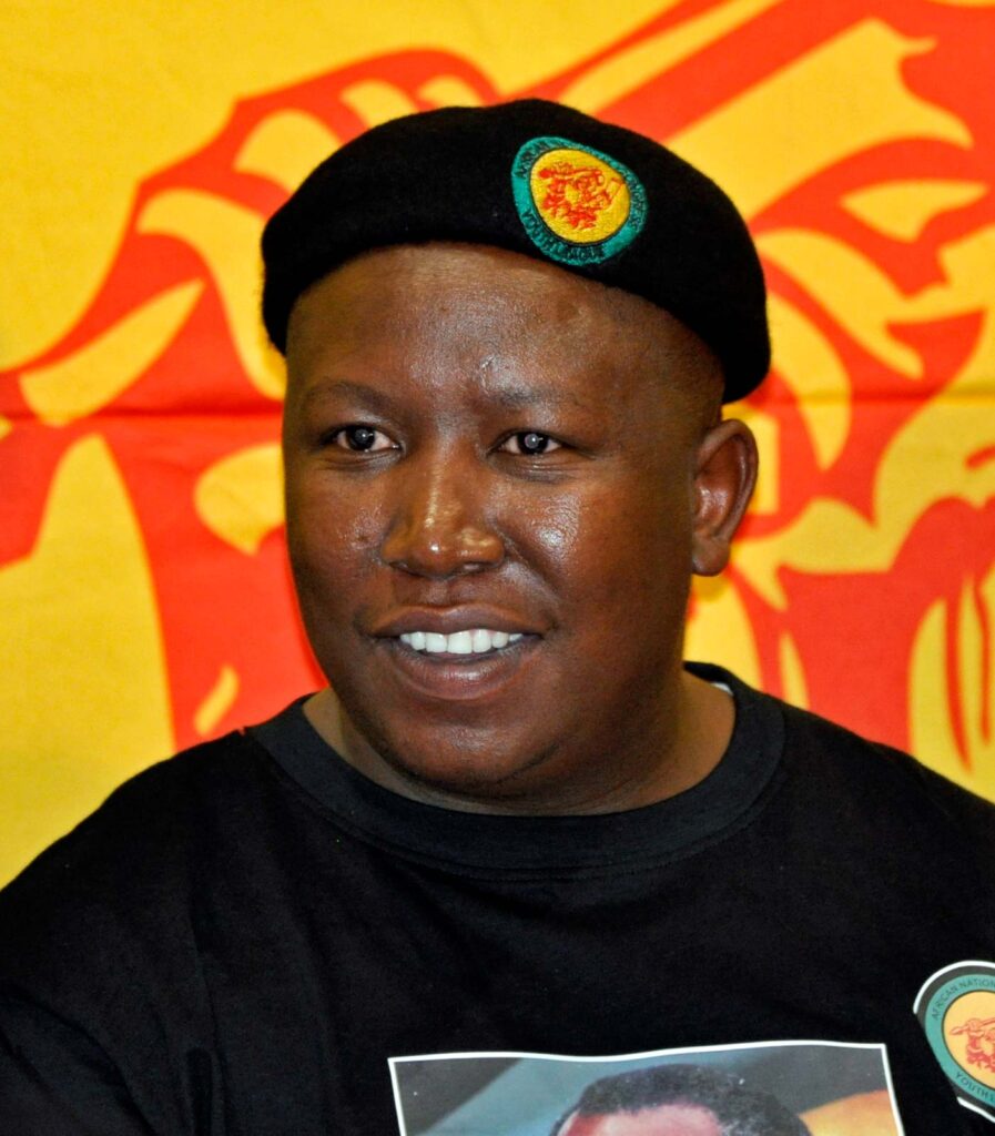 Julius Malema Net Worth, Bio, Wiki, Age, Wife, Education, Challenge