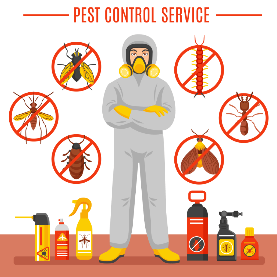 Here Is How To Make Good Use Of Pest Control Supplies informationhub01
