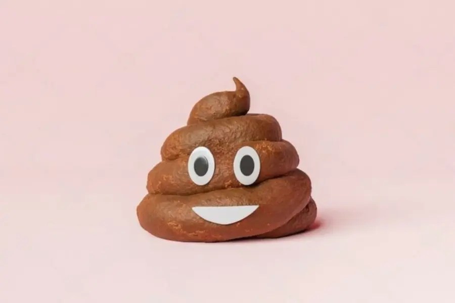 What Does It Mean to Dream About Poop? Info Spiritual