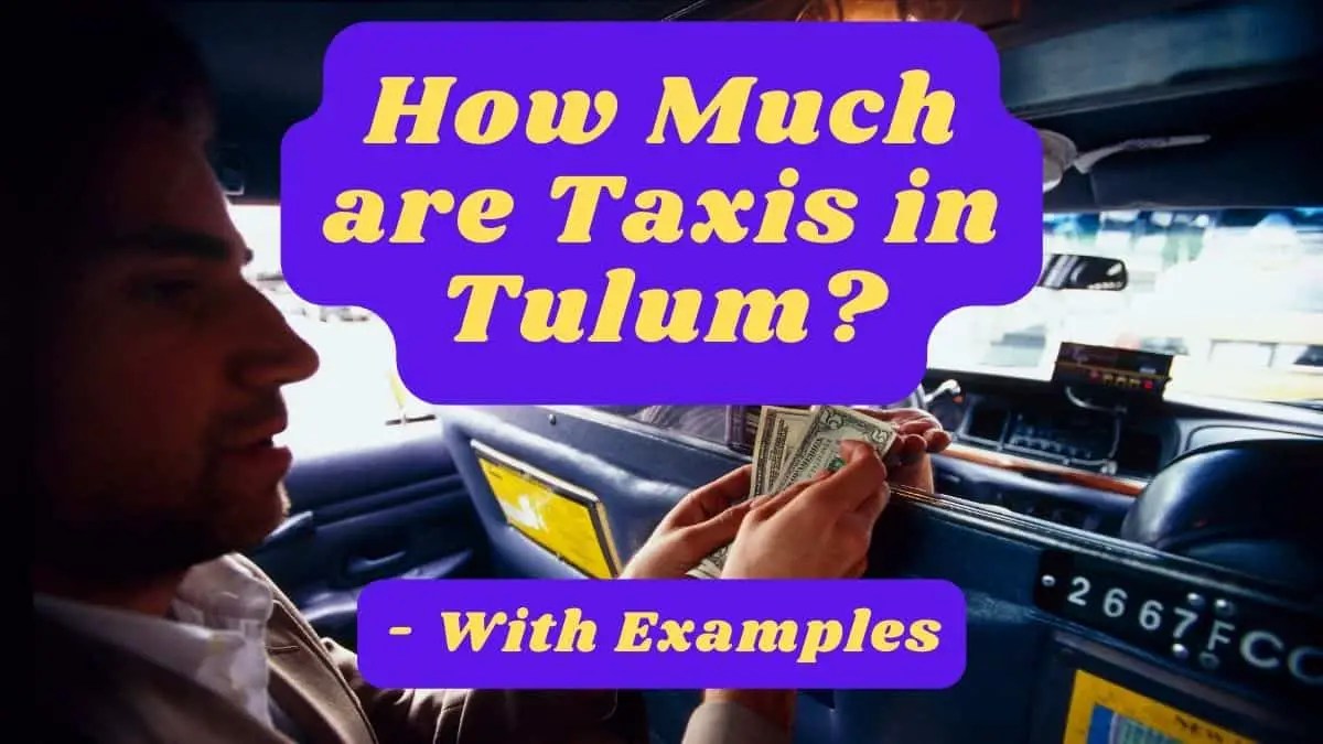 How Much are Taxis in Tulum? With Examples InfoVacay