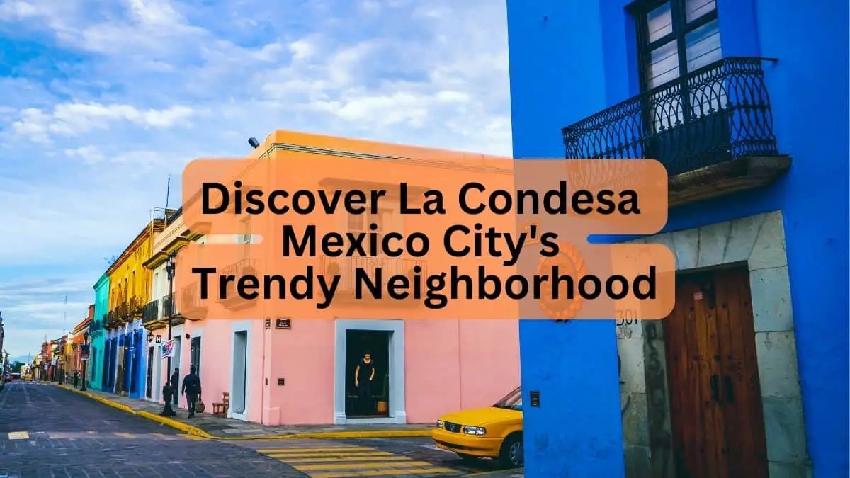 Discover La Condesa Mexico City's Trendy Neighborhood InfoVacay