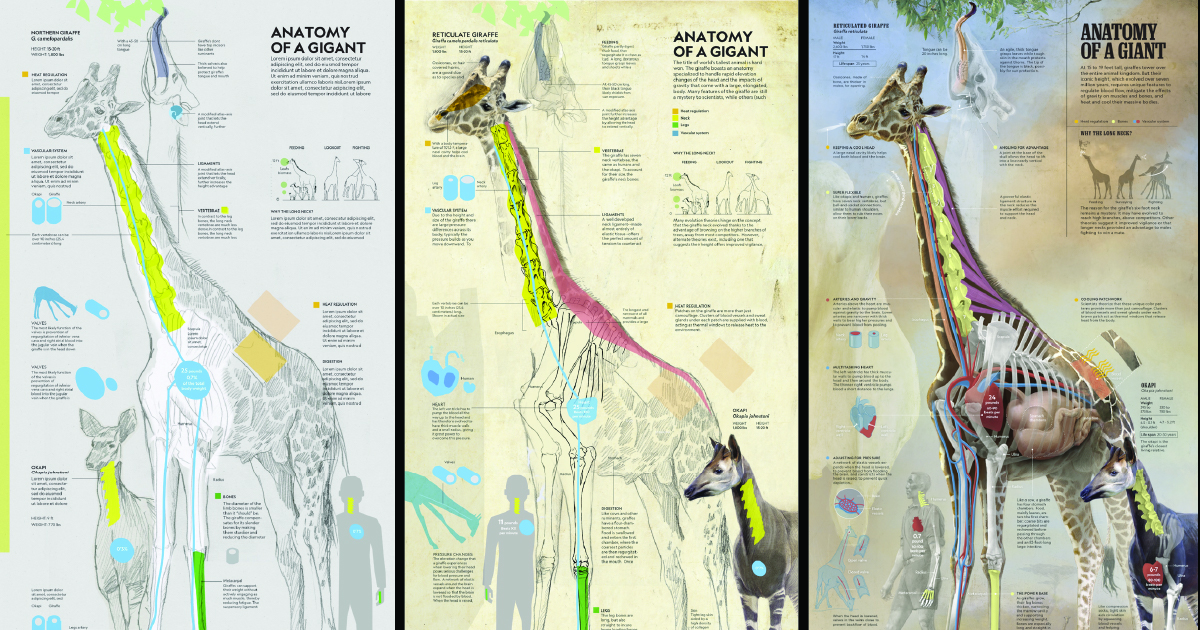 Dissecting 'Anatomy of a Giant' - Info We Trust