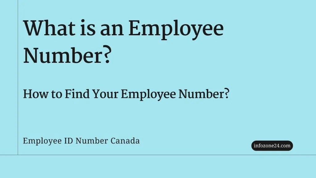 What Is An Employee Number? Infozone24