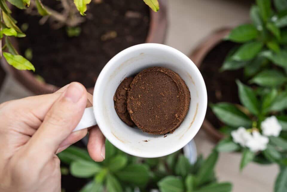 Transform Your Garden with Coffee Grounds Tips and Tricks