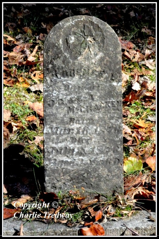 Springer New Mexico Cemetery at Roger Vue blog