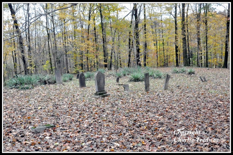 Springer_Cemetery