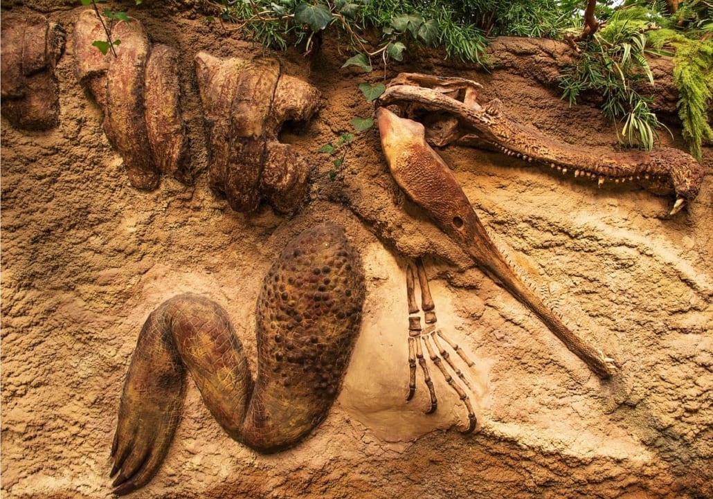 Fósiles de dinosaurios en el mundo ¿dónde se encuentran?Ingeoexpert ®️