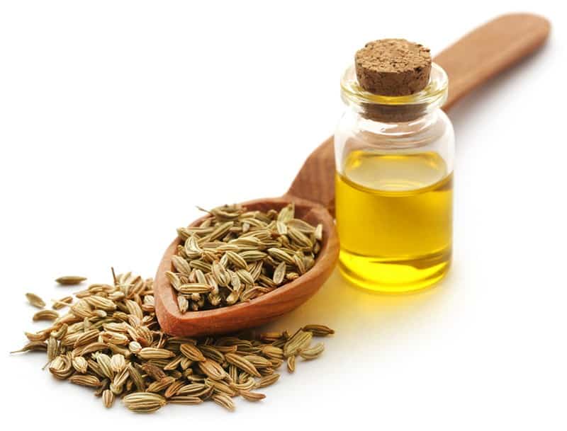 13 Fennel Seed Substitute Ideas Go For Seeds Or Liquid?