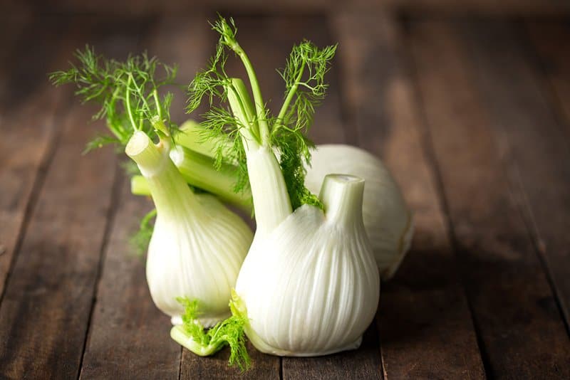 13 Fennel Seed Substitute Ideas Go For Seeds Or Liquid?