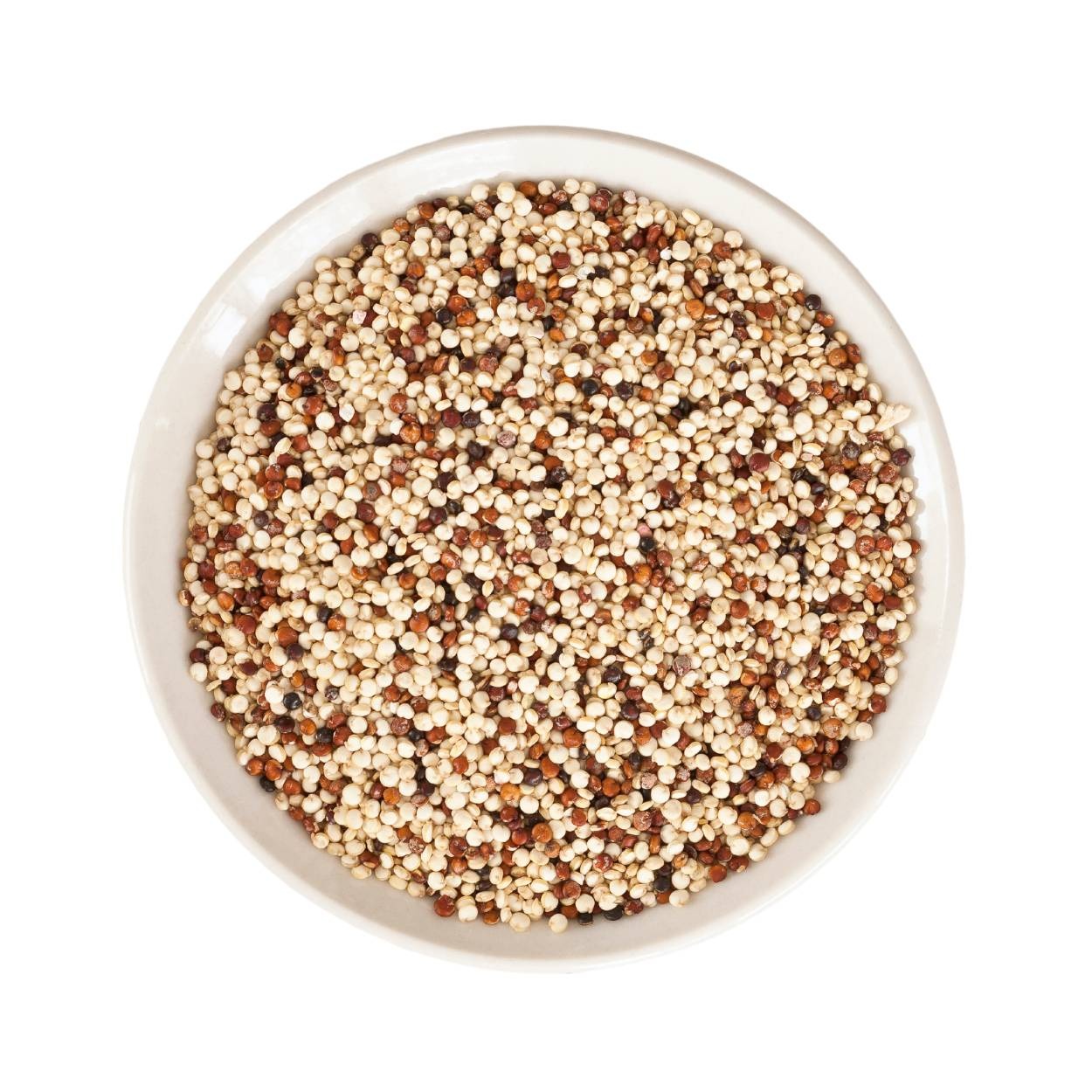 Bulk Quinoa Tricolor Wholesale Importers