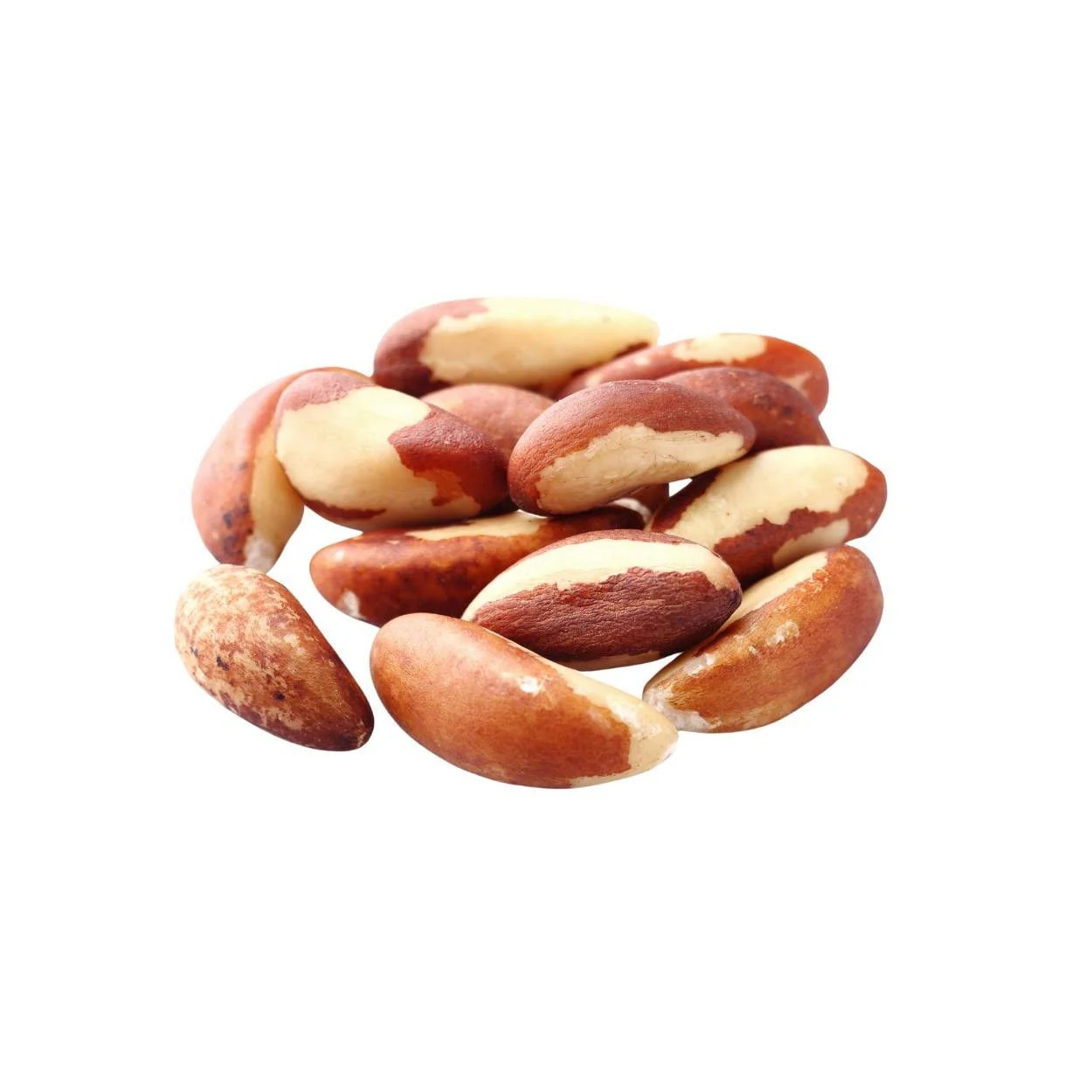 Bulk Brazil Nuts Midget Wholesale Importers