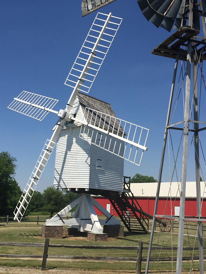 Wasting Time 'Tilting at Windmills' Ingrid Lochamire