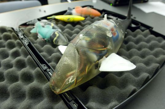 MIT Develops Robotic Fish to Detect Environmental Pollutants