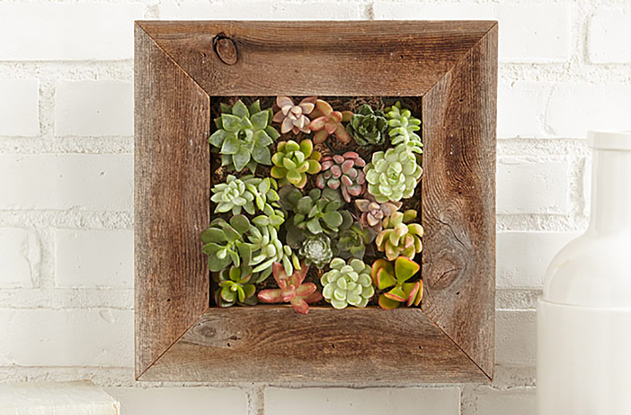 The best indoor gardens to gift this year Inhabitat Green Design