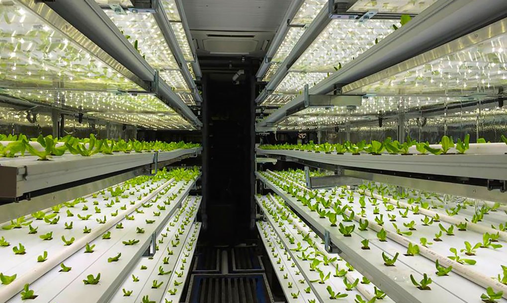 40foot shipping container farm can grow 5 acres of food with 97 less