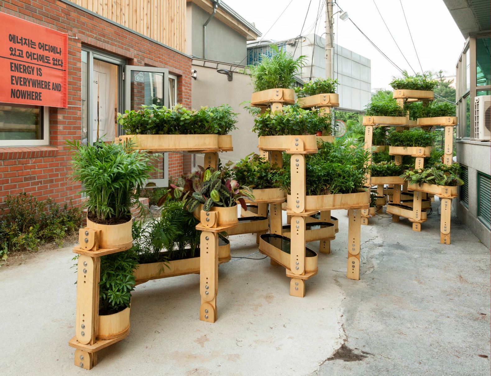 GrowMore is a clever expanding planter that grows along with your